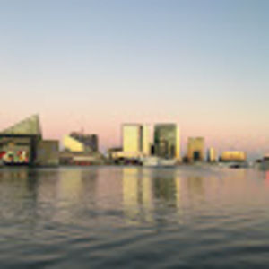 Meet your Posher, Owen